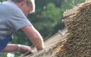 professional Jordanstown thatchers